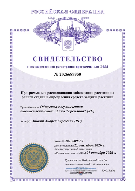 Свидетельство о государственной регистрации программы для ЭВМ № 2026689950